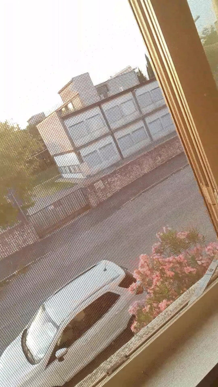 WEBREGINETTA2023: In Front of the Window with the Window Open