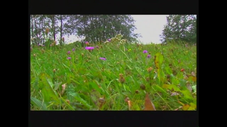 DEUTSCHLAN PORNO XXX: 에로틱한 동화 - 챕터 #03