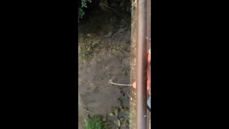 Idmir Sugary: Твінк мочиться від мосту в річку