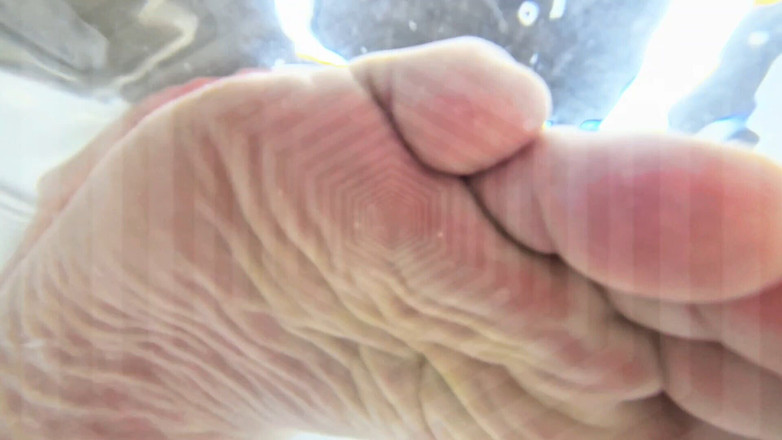 CashmasterAngel: 养猪训练