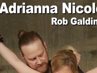 Edge Interactive Publishing: Rob Galding &amp; Adrianna Nicole BDSM femsub clamps