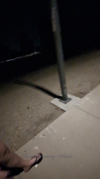 Late Night Nude Walk!