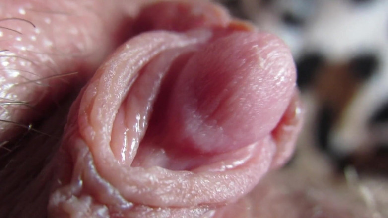 Cuteblonde666: Extreme close up on my hard clit head