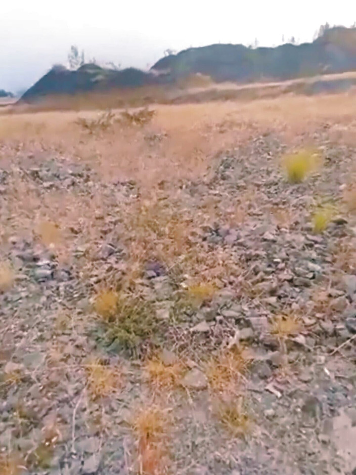 213san: Мексиканский солдат на службе мастурбирует на улице, пока его боссов нету дома