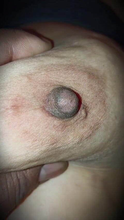 Asslove: 妻の義姉