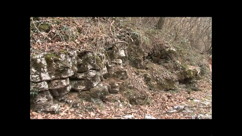 FM Video VOD: 君は僕の継息子になれるかもしれない