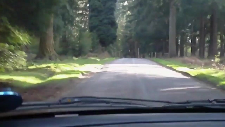 Movies by Louise: Going down in the woods