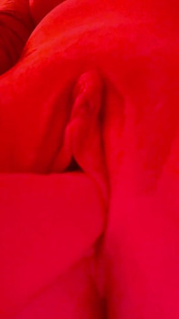 Use Me