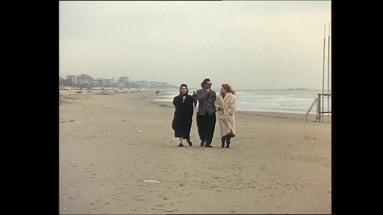 FM Video VOD: The Fun (영화)