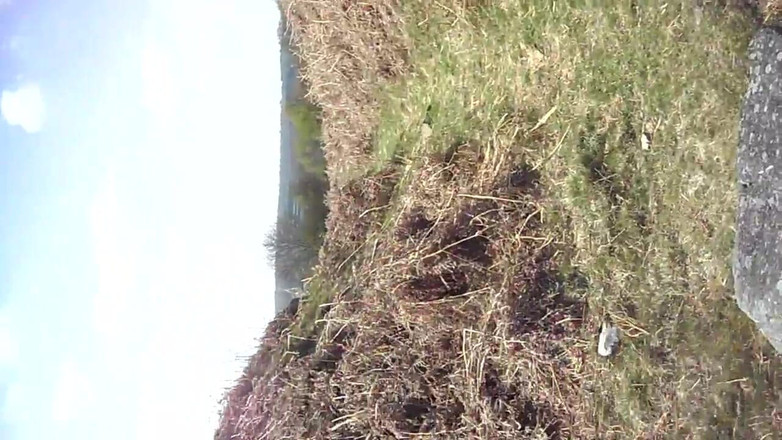 Creampie Clinic: 24 Horas De Pau Para Meninas Safadas