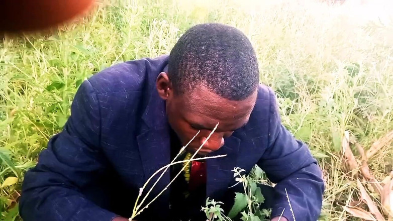 Judith xxx: En nuevo amor