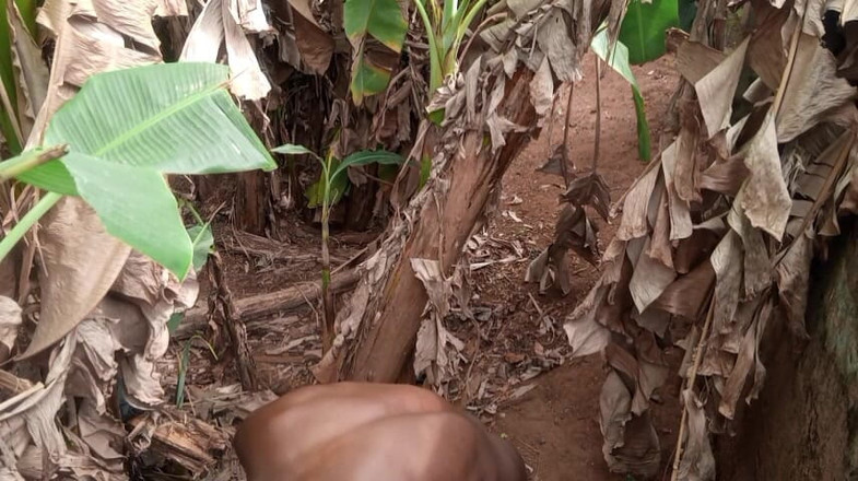 Moviesporn1: Il valentine hanno al guinzaglio e una plantain la maggior...