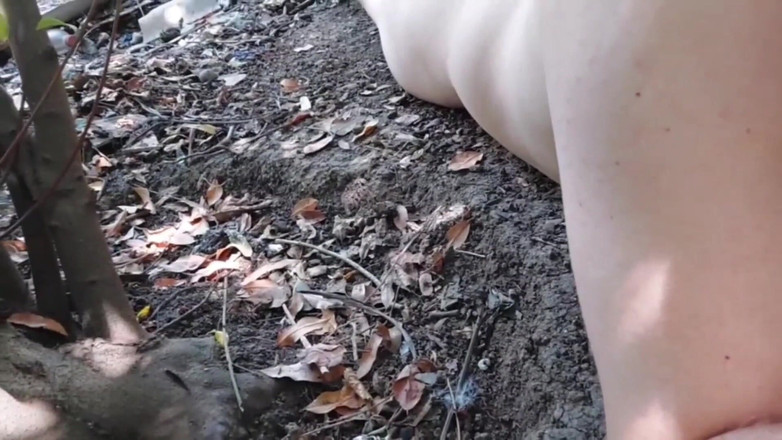 Kitty_Cross: フィッシュネットの幻想