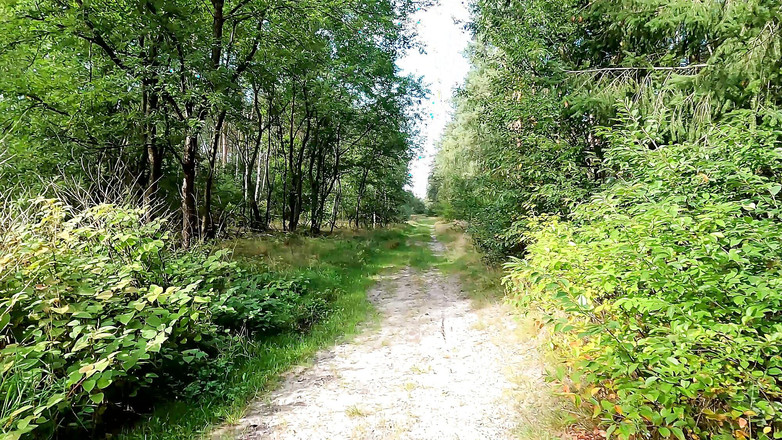 Bouncy Tits Action: 公の場で罰せられるのはたった1つのおっぱいだけ