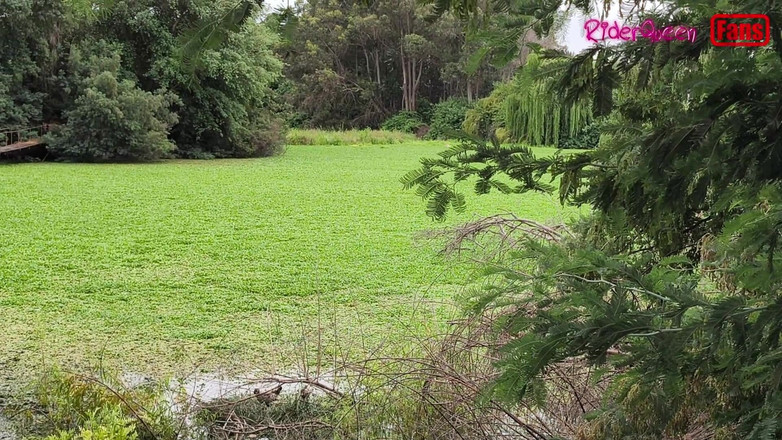 Riderqueen: Ficken mit dem jungen mann, mit einem großen schwanz, Videos...