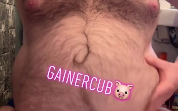 Gainercubb: Fill Piggy up