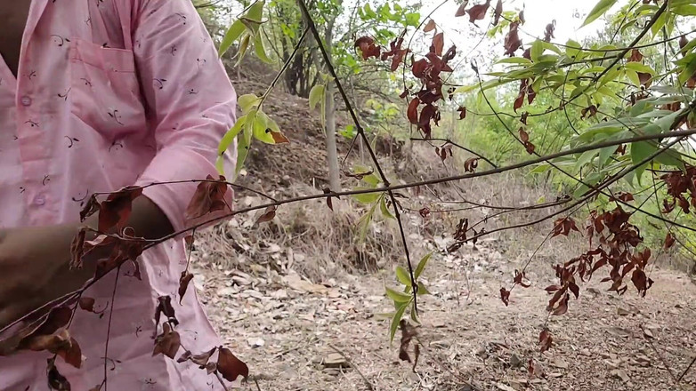 Suhani: Casal indiano na Natureza