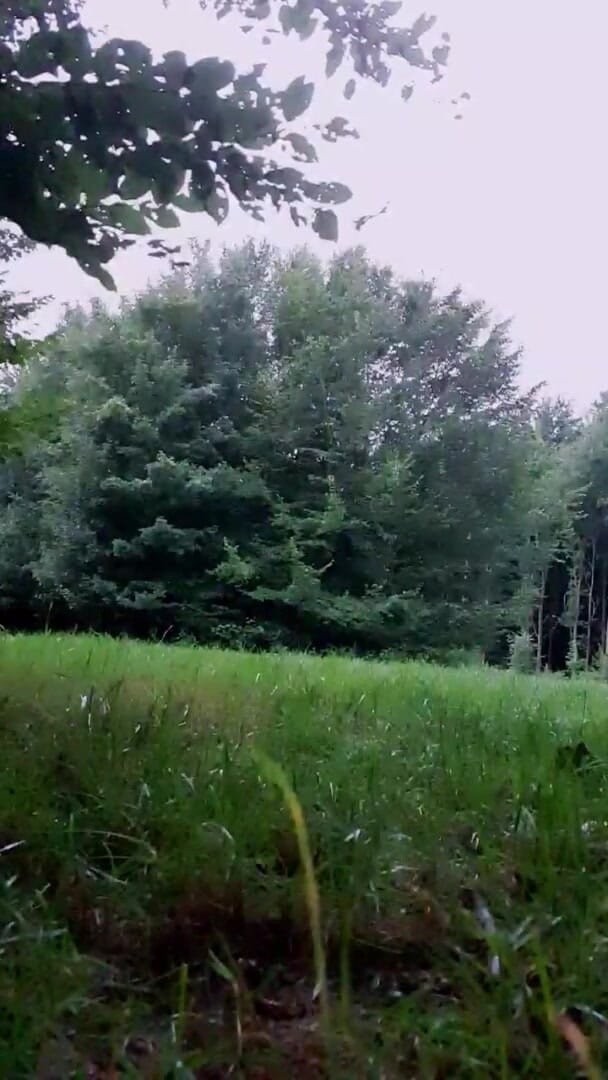 Slutboyben: Slutboyben Cam4 Abgefickt Und Vollgerotzt Venkovní