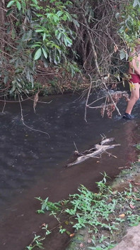Strangers Are Caught Having Sex at the Waterfall.