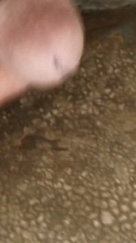 Boy Masterbeson Fully Satisfied with You Interested in Video