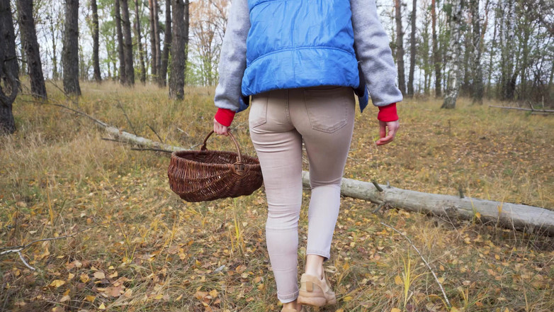 Teasecombo 4K: Milf en pantalones ajustados recogiendo setas en el bosque fetiche...