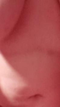 Boobies
