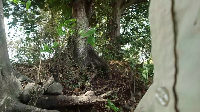 Fucklife_360: Desi masturbuje