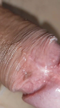 Curvilinear Pulsation of the Robust Cummed Limb