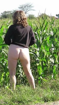Patricia di Padang Jagung