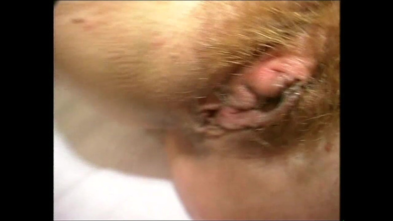 The hunters TV - (The best full movies xxx): Krásná děvka olizuje banán. (film Completto)