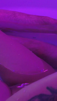 Big Tits Big Ass Beautiful Tattooed Girl Takes a Cum Load on Her Belly and Tits After Long Tease and Seduce