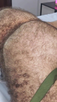 Two Bearded Bulls. One Unforgettable Session.