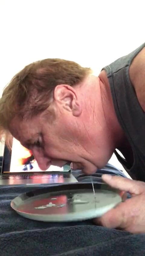 Califagforjass: Califagforjass वीर्य खाती है