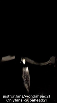 BBC Worship at Night: Risky Public Blowjob & Throat Fuck