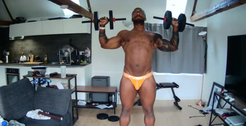 Amadeus: Flux a commencé le 16/11/2020 09 : 51 am, entraînement à domicile, gros et excité