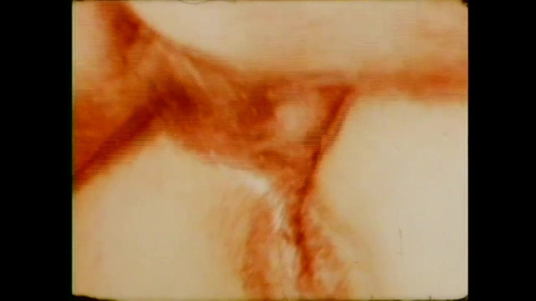 Vintage Megastore Full hd: 凡妮莎·德尔·里奥 （Vanessa del Rio） 去看医生