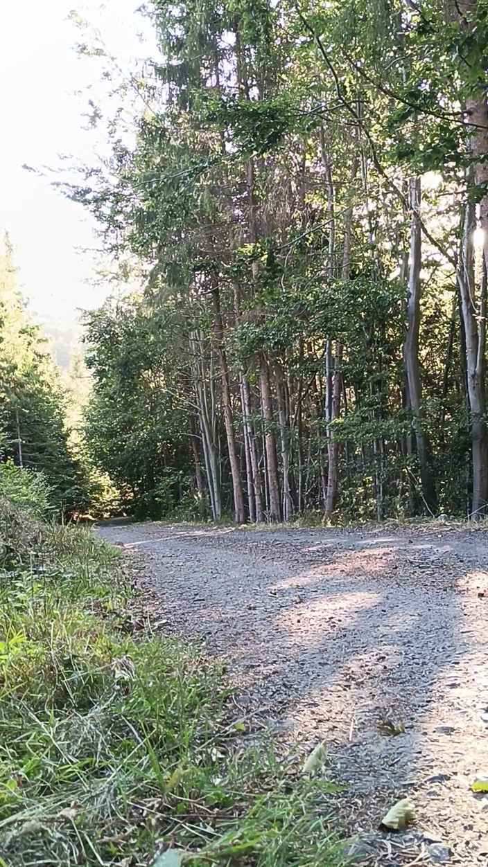 kickerscooter: Scooter Rider Venkovní masturbace