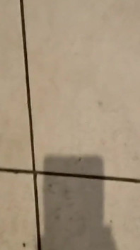 A fan asked for a private video part 4 with fistfucking