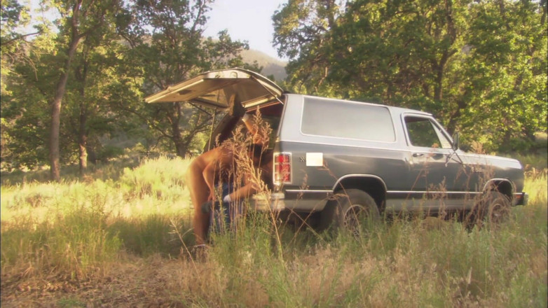 Dirty fantasy: Stepmom fucked next to car during summer picnic