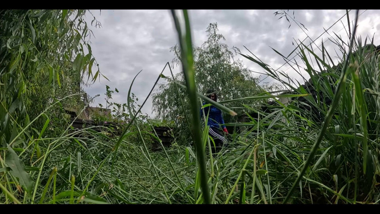 MilfyCalla: Lagi nungguin tukang kebun yang ganteng