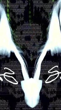 Hallucination Exe My Lips Inside Your Thoughts