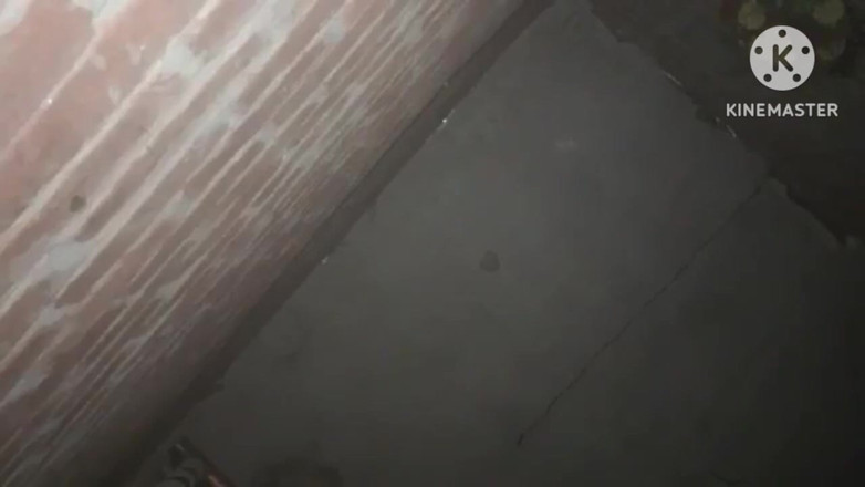 Savita5343: Perkahwinan Viral Pakistan.