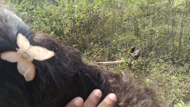 Laxi ammu: Step Brother Fantasy在丛林中做爱