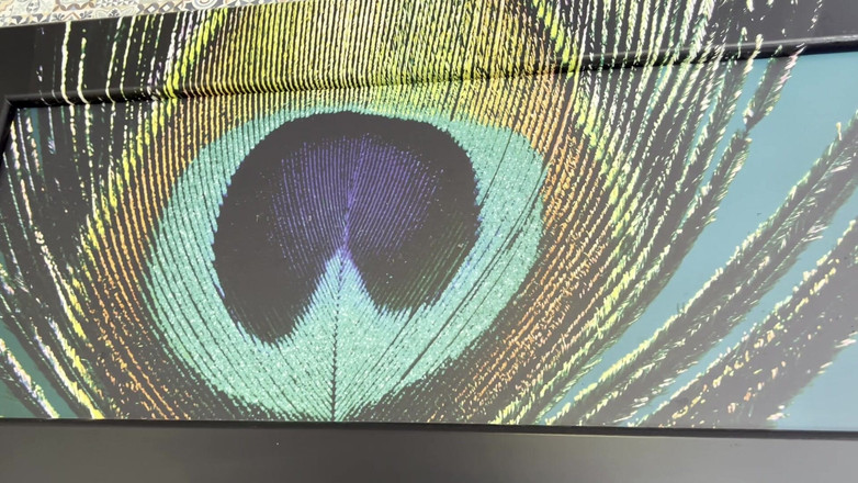 Tommy e Annika: मैं संग्रहालय में गड़बड़ हो गया 'जब तक मैंने फुहार नहीं बहाई