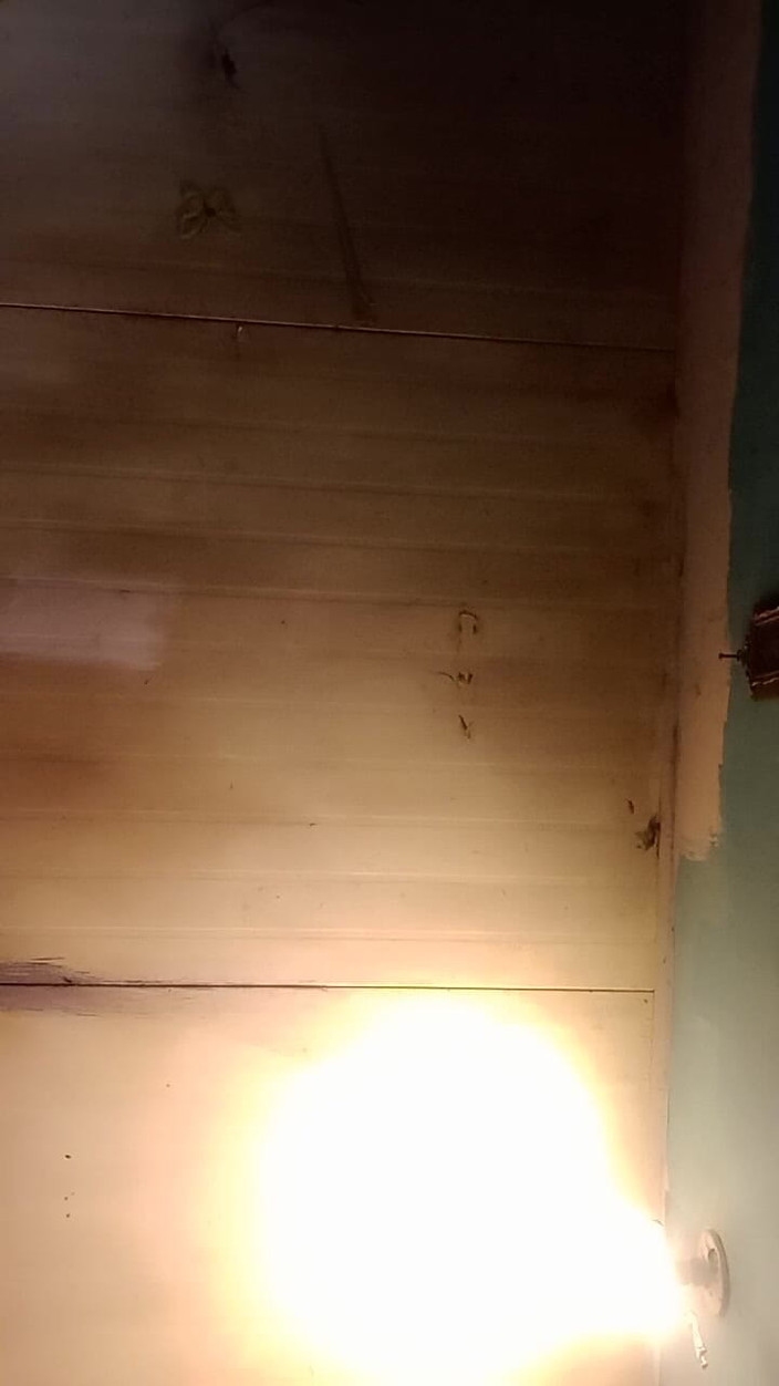 Lusi: Новая игрушка Saray