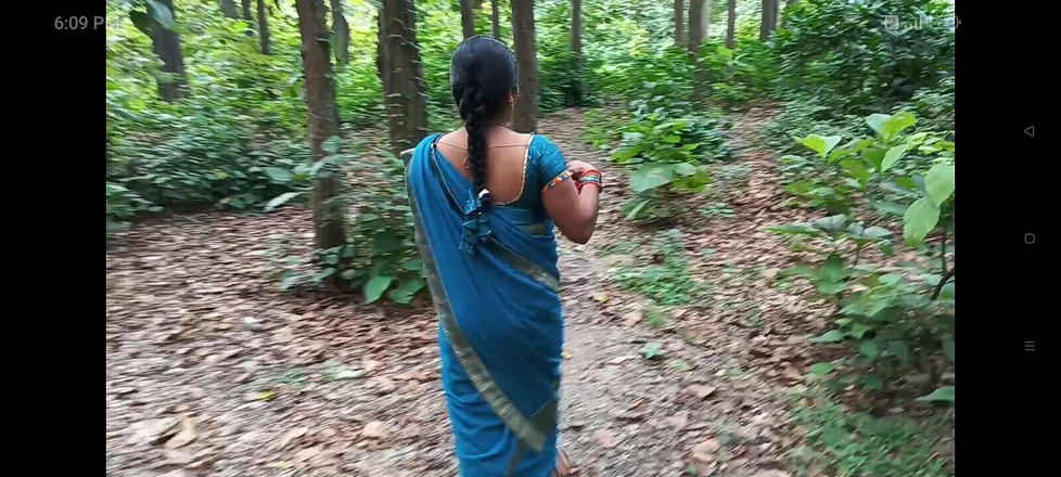 Desistepsis: 德西继母和太阳森林啪