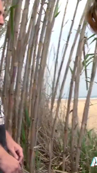 Bankneukende brunette Andrea Diangelis terwijl sge sperma uit de kraan drinkt