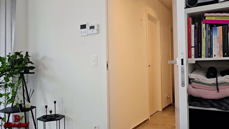 Shadow Dimitri: レディ・ラインとシャドウ・ディミトリのベルギーでのいたずらな再会