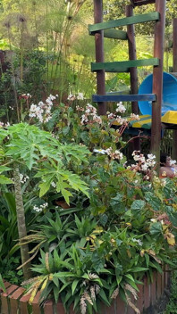 El Jardinero De Mi Casa Me Ve Masturbandome Y Se Pone Cachondo, Asi Que Decido Complacerlo Dejandome Meter Su Enorme Polla.