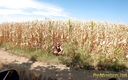 Pee Adventures: Piss herself in a corn field and wet her pristine...